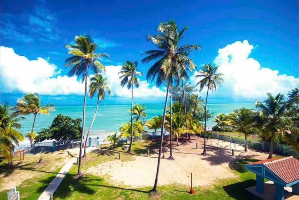 3Bedrm Beach Penthouse With Rooftop Terrace & Wifi Río Grande Eksteriør billede